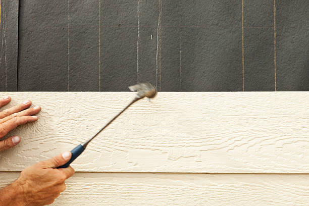 Best Siding for New Construction  in Friars Point, MS